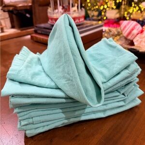 Aqua Cloth Napkins Set